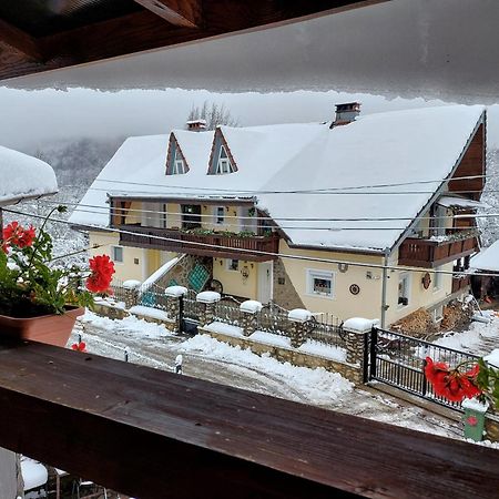 Holiday House Văliug Dış mekan fotoğraf