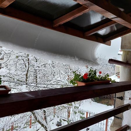 Holiday House Văliug Dış mekan fotoğraf