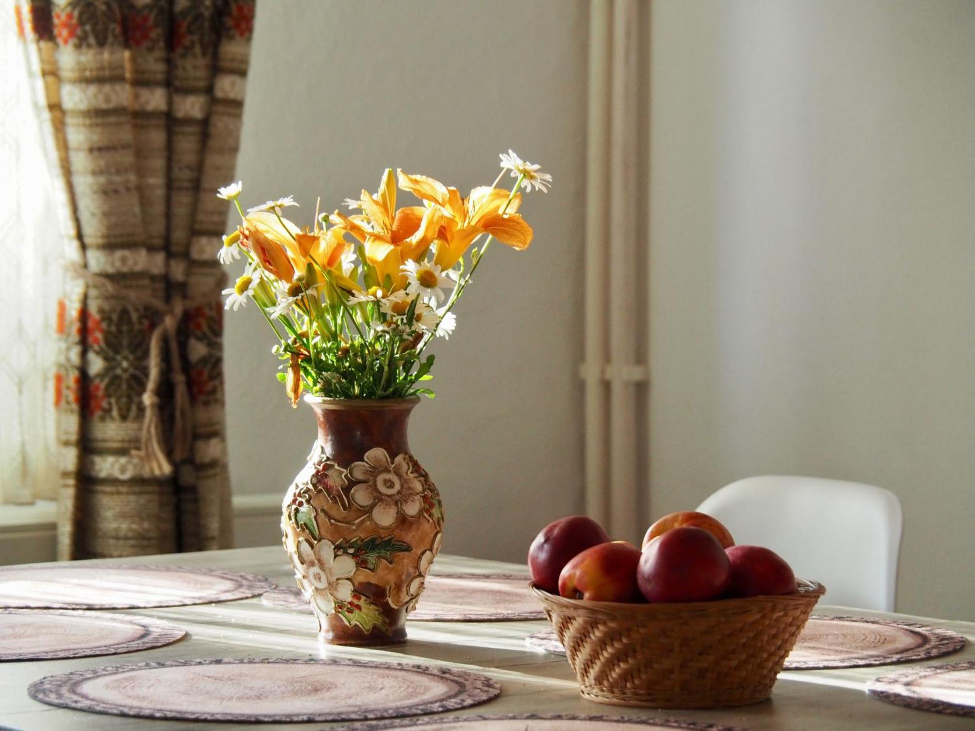 Holiday House Văliug Dış mekan fotoğraf