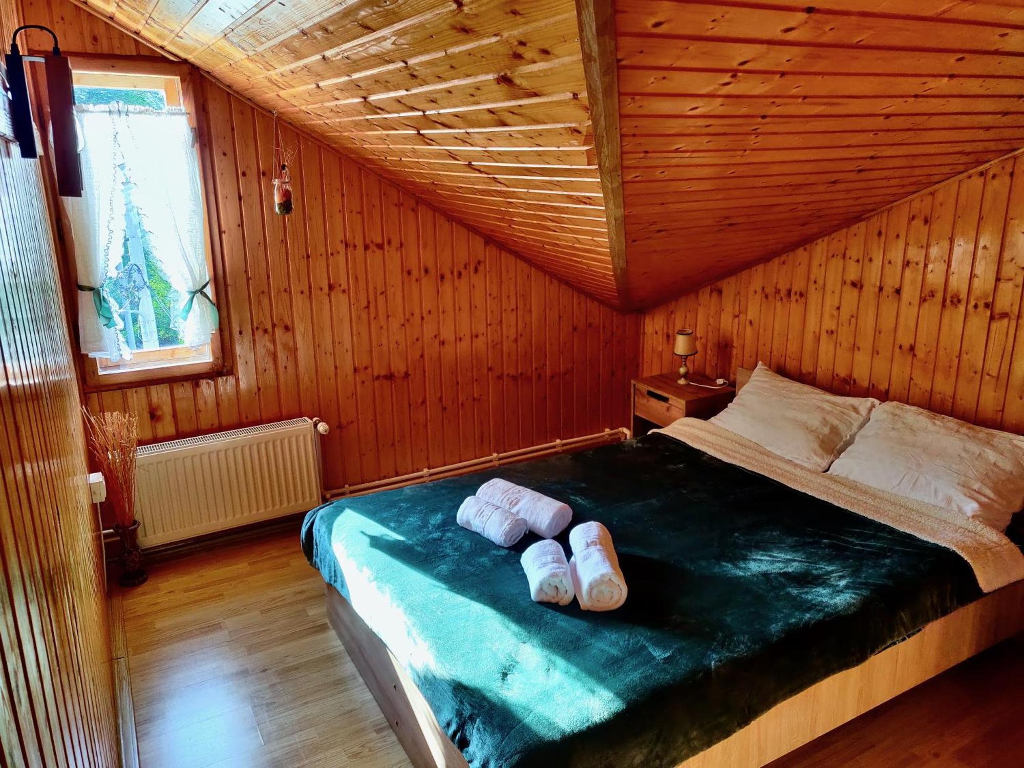 Holiday House Văliug Dış mekan fotoğraf