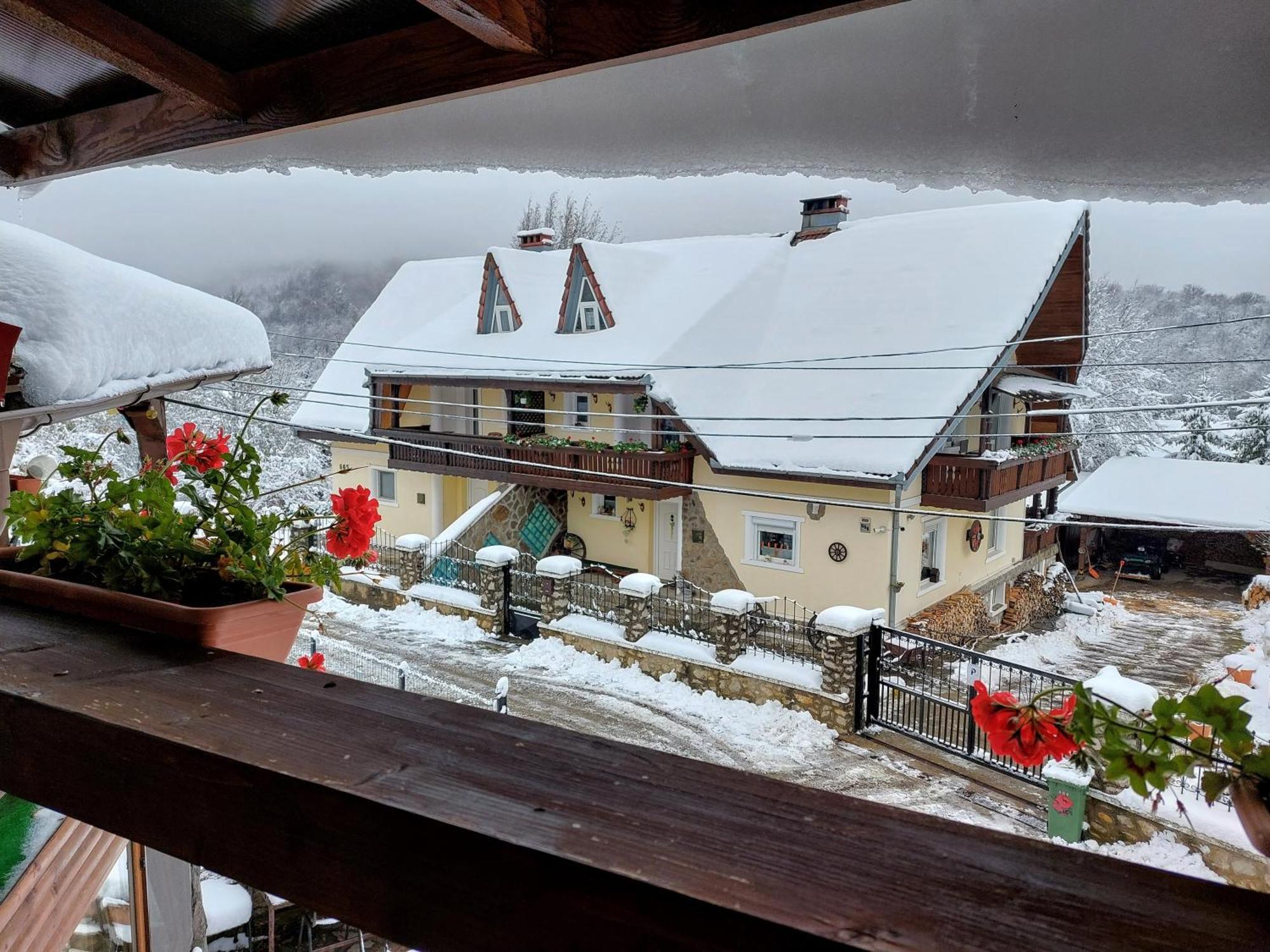 Holiday House Văliug Dış mekan fotoğraf
