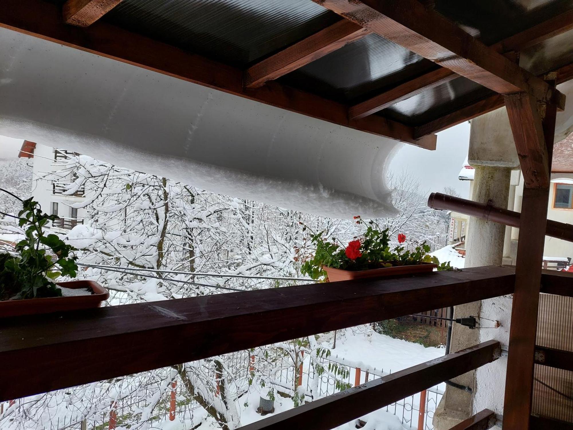 Holiday House Văliug Dış mekan fotoğraf