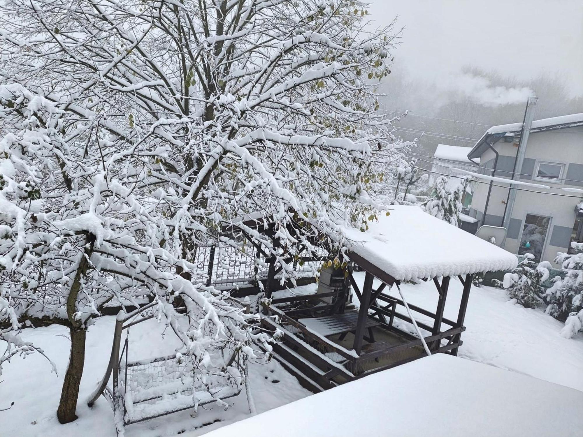 Holiday House Văliug Dış mekan fotoğraf